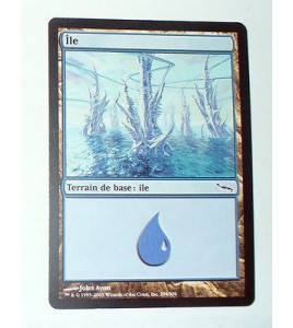 ILE  TERRAIN DE BASE ILE N°18 - VF CARTE MTG MAGIC