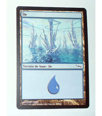 ILE  TERRAIN DE BASE ILE N°18 - VF CARTE MTG MAGIC
