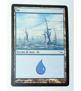 ILE  TERRAIN DE BASE ILE N°17 - VF CARTE MTG MAGIC