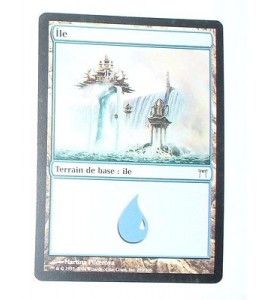 ILE  TERRAIN DE BASE ILE N°25 - VF CARTE MTG MAGIC
