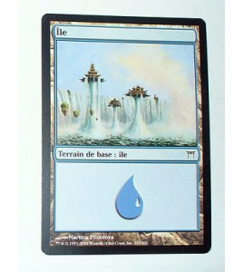 ILE  TERRAIN DE BASE ILE N°19 - VF CARTE MTG MAGIC