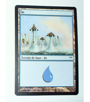 ILE  TERRAIN DE BASE ILE N°19 - VF CARTE MTG MAGIC