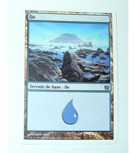 ILE  TERRAIN DE BASE ILE N°23 - VF CARTE MTG MAGIC