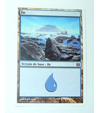 ILE  TERRAIN DE BASE ILE N°23 - VF CARTE MTG MAGIC