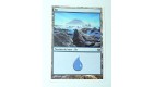 ILE  TERRAIN DE BASE ILE N°23 - VF CARTE MTG MAGIC
