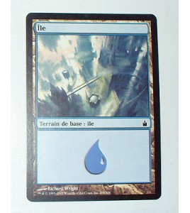 ILE  TERRAIN DE BASE ILE N°24 - VF CARTE MTG MAGIC