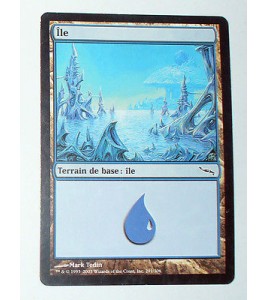 ILE  TERRAIN DE BASE ILE N°29 - VF CARTE MTG MAGIC
