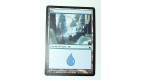 ILE  TERRAIN DE BASE ILE N°22 - VF CARTE MTG MAGIC