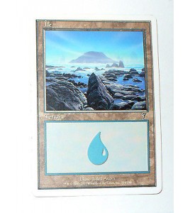 ILE  TERRAIN DE BASE ILE N°43 - VF CARTE MTG MAGIC