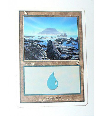 ILE  TERRAIN DE BASE ILE N°43 - VF CARTE MTG MAGIC