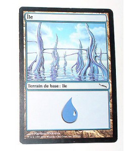 ILE  TERRAIN DE BASE ILE N°37 - VF CARTE MTG MAGIC
