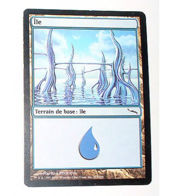 ILE  TERRAIN DE BASE ILE N°37 - VF CARTE MTG MAGIC