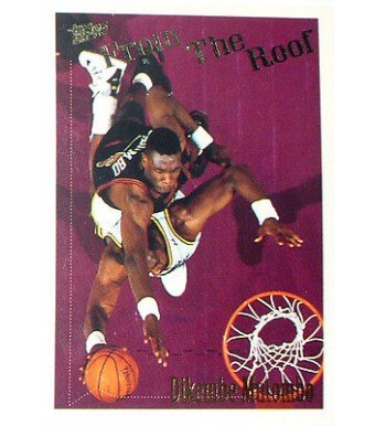 CARTE NBA BASKET BALL 1995 PLAYER CARDS DIKEMBE MUTOMBO (340)
