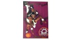 CARTE NBA BASKET BALL 1995 PLAYER CARDS DIKEMBE MUTOMBO (340)