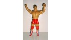 FIGURINE CATCH WWE  JAKKS PACIFIC 2003 ARTICULE (18x11cm)