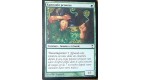 KANNUSHI PROMISE - CREATURE HUMAIN ET DRUIDE - VF CARTE MTG MAGIC