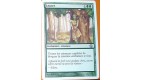 LEURRE - ENCHANTER - CREATURE -  VF CARTE MTG MAGIC