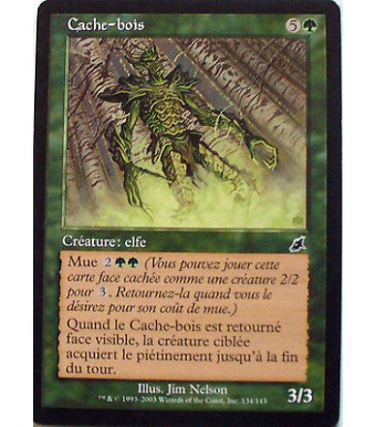 CACHE BOIS - CREATURE ELFE - VF CARTE MTG MAGIC
