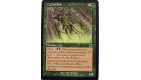 CACHE BOIS - CREATURE ELFE - VF CARTE MTG MAGIC