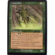 CACHE BOIS - CREATURE ELFE - VF CARTE MTG MAGIC