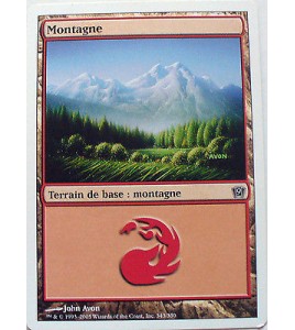 MONTAGNE - TERRAIN DE BASE MONTAGNE - VF CARTE MTG MAGIC