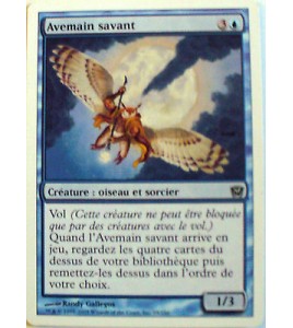 AVEMAIN SAVANT - CREATURE OISEAU ET SORCIER - VF CARTE MTG MAGIC  