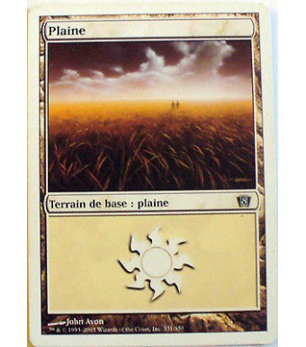 PLAINE - TERRAIN DE BASE PLAINE - VF CARTE MTG MAGIC 
