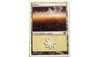 PLAINE - TERRAIN DE BASE PLAINE - VF CARTE MTG MAGIC 