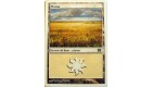 PLAINE - TERRAIN DE BASE PLAINE - VF CARTE MTG MAGIC 