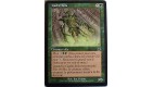 CACHE BOIS - CREATURE ELFE - VF CARTE MTG MAGIC