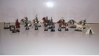 ENSEMBLE SOLDAT MINIATURE CAVALERIE SUDISTE GUERRE DE SECESSION 1863 19 PIECES  