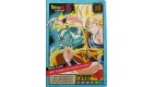 CARTE DRAGON BALL LE GRAND COMBAT N-¦602 METAL-COOLER POWER LEVEL 4 