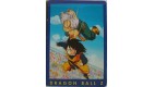 CARTE DRAGON BALL Z N° 41 SANGOTEN  VERSION FRANCAISE 