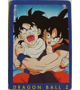 CARTE DRAGON BALL Z N° 3 SANGOKU  VERSION FRANCAISE 