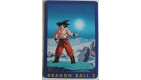 CARTE DRAGON BALL Z N° 99 SANGOKU  VERSION FRANCAISE 
