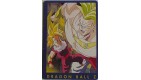 CARTE DRAGON BALL Z N° 107 SANGOHAN  VERSION FRANCAISE 