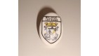PINS PIN'S BALARUC LES BAINS