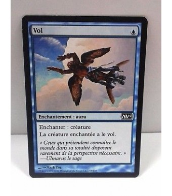 magic mgt vol french card