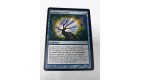carte magic - ambitions brisées - vf - lorwyn - commune - 54301 