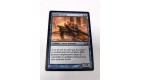 MAGIC MTG - Tortue cornue - Horned turtle - TEMPETE - Fr - Occ 