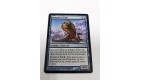Nemrod d'Aether Lorwyn n°50 (Français) MTG Magic NM