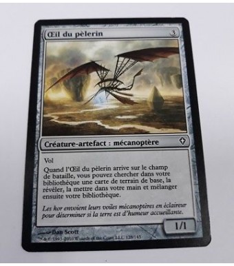 MTG Magic Oeil du pèlerin Commander 2014 n°262 NM (Français) 