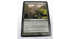 carte magic the gathering mtg - essaim de bourgeons - vision de l'avenir 