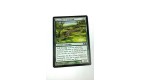 Carte MAGIC MTG - Crocodile en maraude - Lurking croco - Magic 2012 - VF - Occ