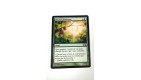 Carte MAGIC MTG - Récolte généreuse - Bountiful harv - Magic 2012 - VF - Occ