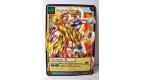 Carte Dragon Ball Z Clarté durable D-401