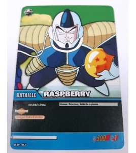 carte dragon ball db-107