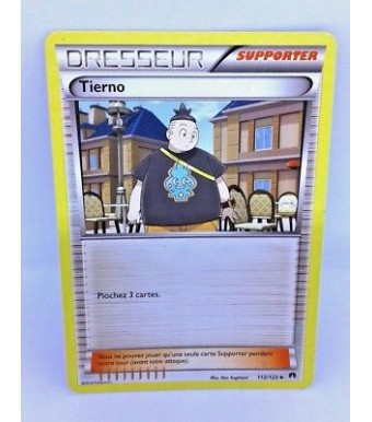 Carte Pokémon - DRESSEUR - TIERNO 107119 SUPPORTER - XY - Vigueur Spectrale