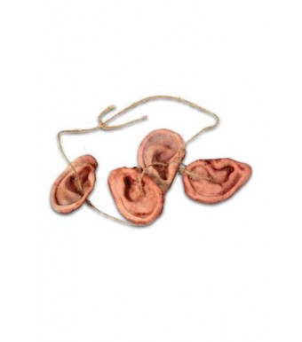 Walking Dead réplique 1/1 collier d'oreilles de walkers de Daryl