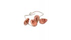 Walking Dead réplique 1/1 collier d'oreilles de walkers de Daryl